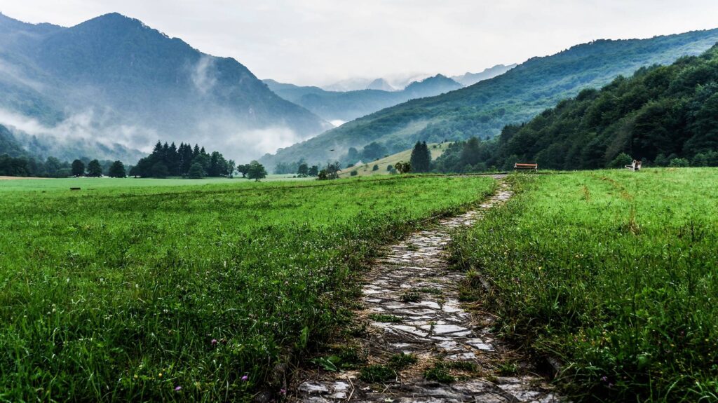 A pathway surrounded by green grass leads towards mountains.